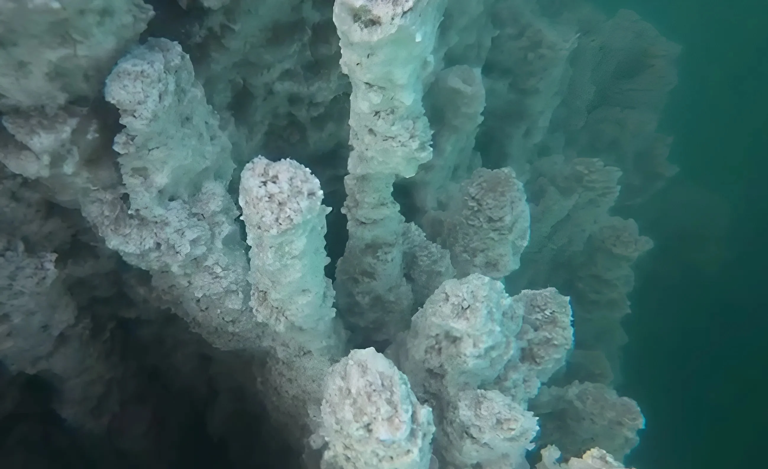 מראה מהעולם הבא: מה שקורה עכשיו במעמקי ים המלח יגרום לכם לעצור הכול