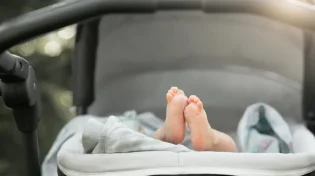 18 שנים בלי ילדים - ואז הבבא סאלי אמר להם: "תקנו עגלה"