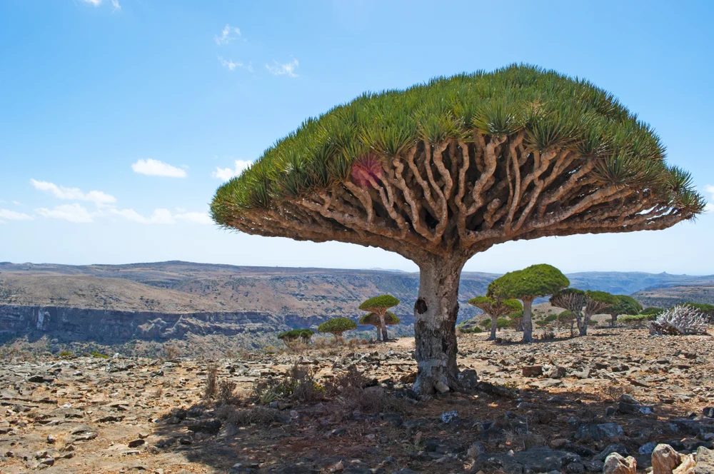  האי שנראה כמו חלום – ומסתיר שאלה אחת שכל יהודי חייב לשאול את עצמו