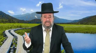 למה להתלונן? פרשת בהעלותך | הרב דוד הכהן