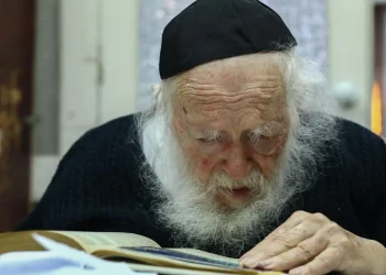 רק לאחר מעשה: ראו שהעצה של הרב קנייבסקי הצילה את חייו של הילד