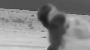 היד הנעלמה של המוסד: כך הושמדו מערכות ההגנה האווירית של איראן | צפו