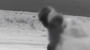 היד הנעלמה של המוסד: כך הושמדו מערכות ההגנה האווירית של איראן | צפו