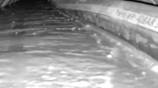 ביקום מקביל: צה"ל חסם את המנהרה של סינוואר בעזה