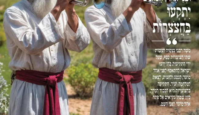 מגזין "מאירים את השבת" - פרשת בהעלותך