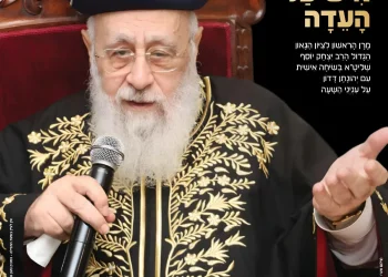 מגזין "מאירים את השבת" - פרשת שלח לך