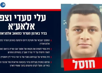 צה"ל ושב"כ חיסלו את המחבל עלי סעדי ווסאפי אלאעא, בכיר בכתאאב אלמג'אהדין שחטף את שירי ביבס וילדיה