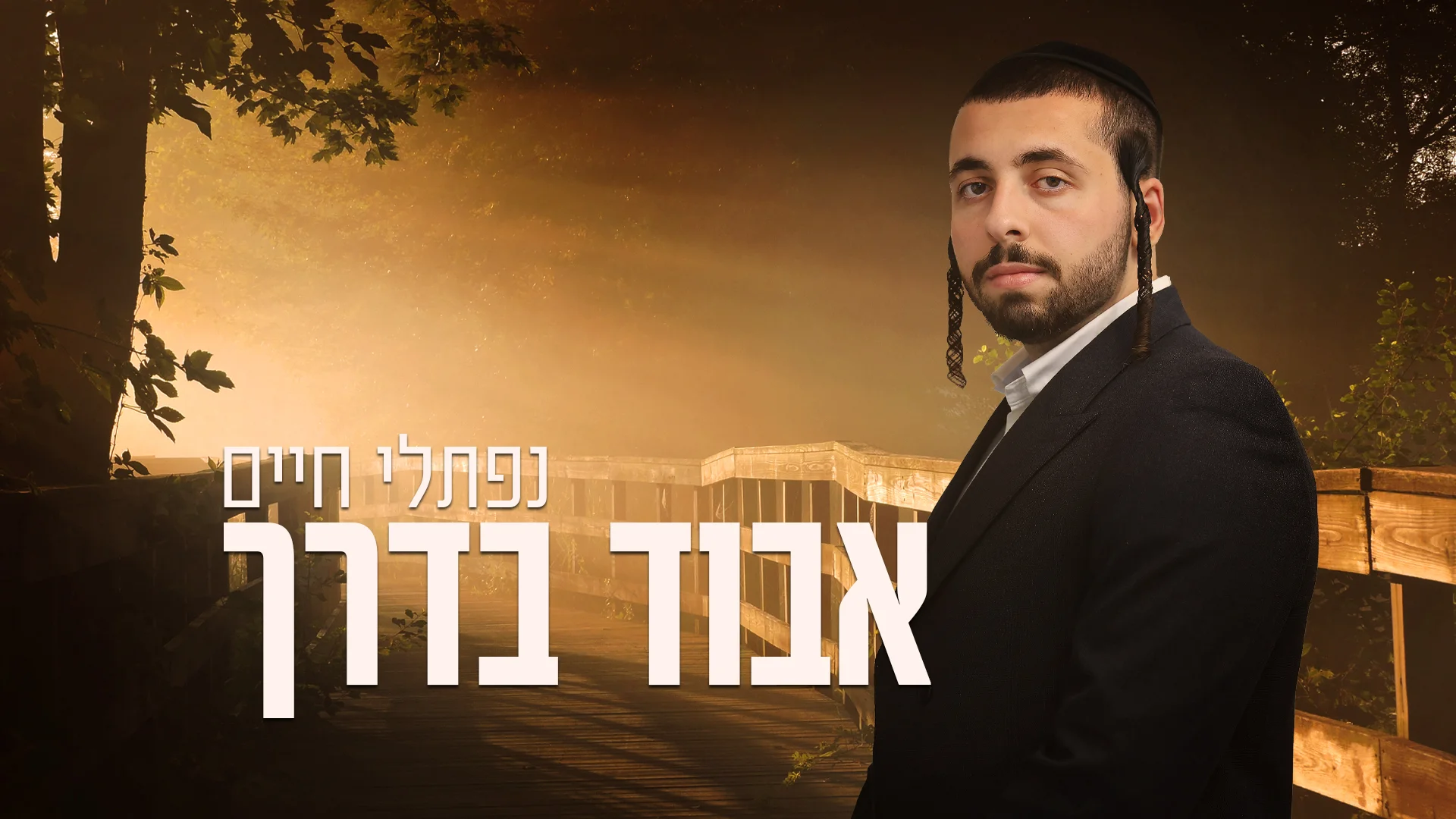נפתלי חיים - "אבוד בדרך" נפתלי חיים - "אבוד בדרך"
