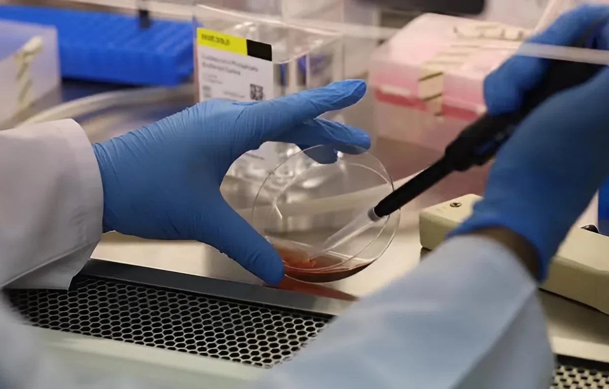 יש לך סוג דם O? את/ה כנראה יכול/ה להציל חיים - זה הרגע לפעול 