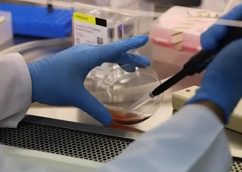 יש לך סוג דם O? את/ה כנראה יכול/ה להציל חיים - זה הרגע לפעול 