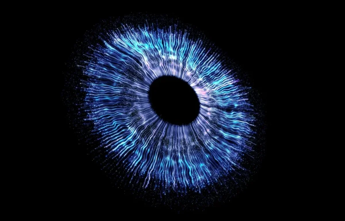 הם ראו את אותו הדבר – אבל רק שניים מהם לא טעו: הסוד המטלטל מאחורי חטא המרגלים הם ראו את אותו הדבר – אבל רק שניים מהם לא טעו: הסוד המטלטל מאחורי חטא המרגלים