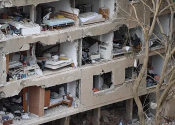 דווקא מסין: היוזמה המפתיעה שעשויה להציל את פרויקט השיקום של ישראל