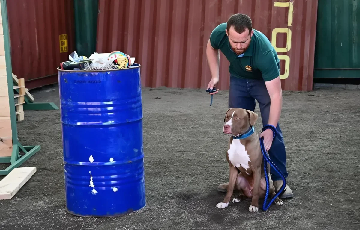 "הייתי האחרון לדעת": אב התינוקת שנהרגה בטראגיות מנשיכת כלב מבקש תשובות מהרשויות