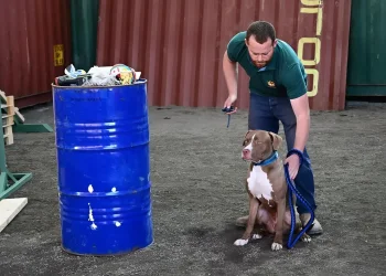 "הייתי האחרון לדעת": אב התינוקת שנהרגה בטראגיות מנשיכת כלב מבקש תשובות מהרשויות