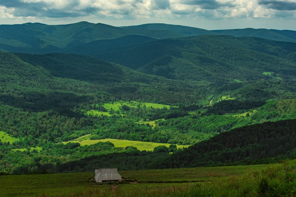 מה שנשאר: יערות פרא ונופים עוצרי נשימה מעל כפרים שנמחקו