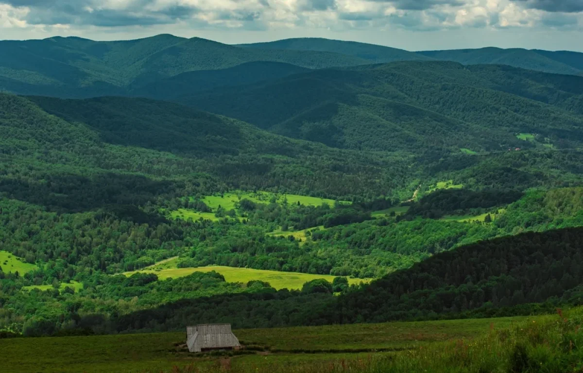 מה שנשאר: יערות פרא ונופים עוצרי נשימה מעל כפרים שנמחקו