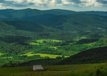 מה שנשאר: יערות פרא ונופים עוצרי נשימה מעל כפרים שנמחקו