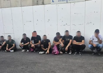 המיניבוס שנעצר (צילום: דוברות המשטרה)