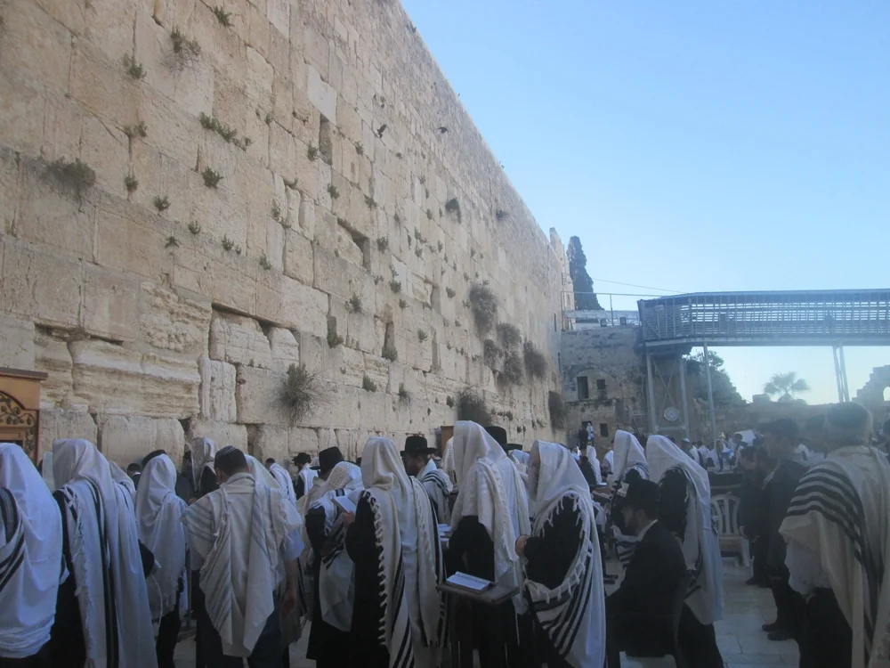 הציבור נקרא להתפלל לרפואת רבה של חולון: הגאון הרב אליהו יוחנן בן שיינה טעמע