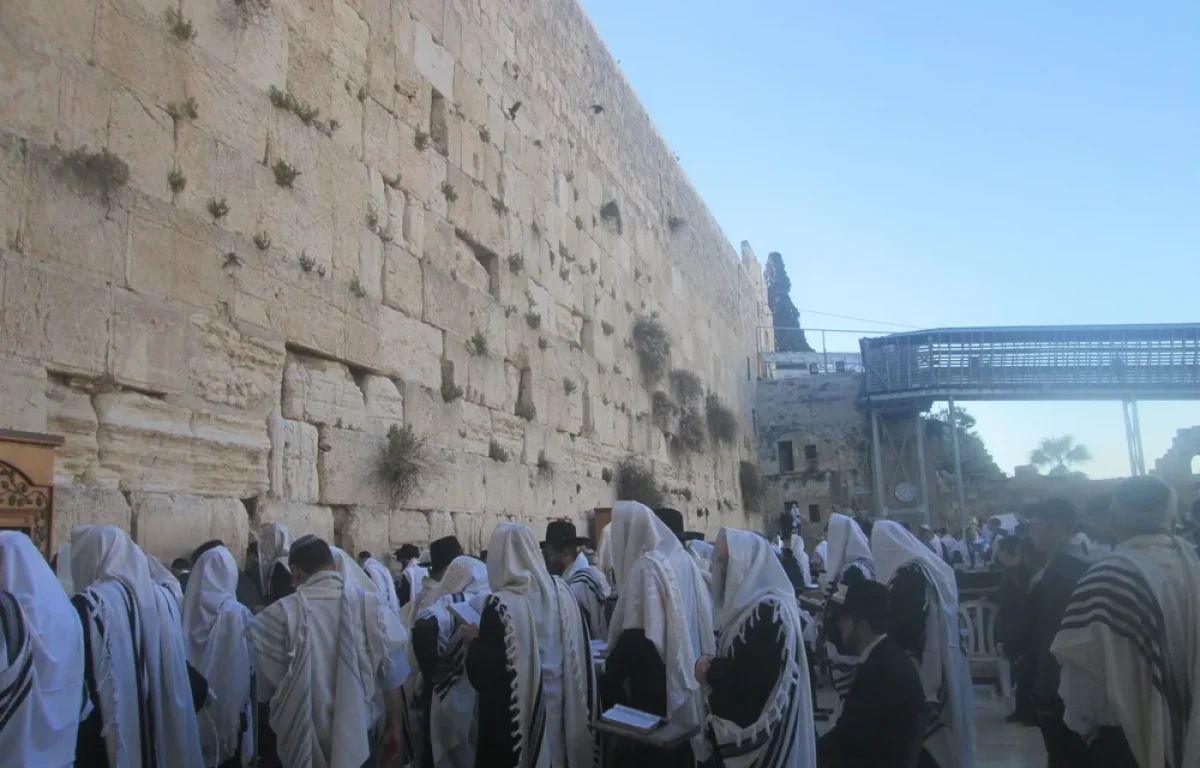 הציבור נקרא להתפלל לרפואת רבה של חולון: הגאון הרב אליהו יוחנן בן שיינה טעמע