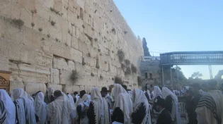 הציבור נקרא להתפלל לרפואת רבה של חולון: הגאון הרב אליהו יוחנן בן שיינה טעמע