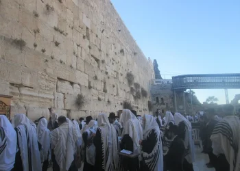 הציבור נקרא להתפלל לרפואת רבה של חולון: הגאון הרב אליהו יוחנן בן שיינה טעמע