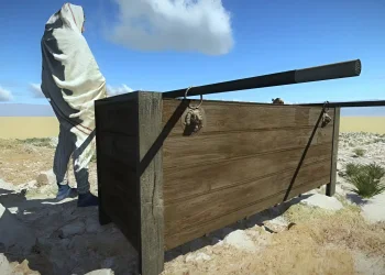 תגלית נדירה במרכז הארץ: לוחיות אריות בנות 1,900 שנה נחשפו בקבר עתיק