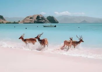 לא תאמינו מה שוכן בקצה העולם &ndash; ואיך זה מחבר אותנו לבראשית