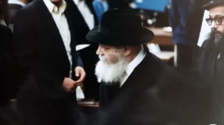 3 עובדות שלא ידעתם על הרבי מלובביץ'