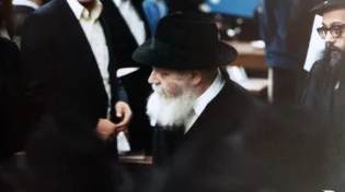 3 עובדות שלא ידעתם על הרבי מלובביץ'