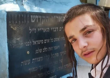 אימו של מוישי קליינרמן בדיון בכנסת: "נאבקים על הנשימה שלנו"