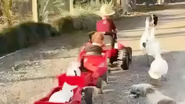 הדרך הכי חמודה בעולם להעביר בוקר בלול
