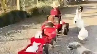 הדרך הכי חמודה בעולם להעביר בוקר בלול