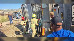 תאונה חריגה בבקעת הירדן: משאית עם עשרות פרות התהפכה בכביש 90