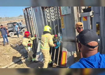 תאונה חריגה בבקעת הירדן: משאית עם עשרות פרות התהפכה בכביש 90