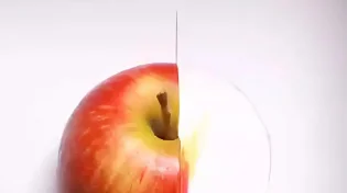 תחשבו טוב: צד ימין זה ציור או צילום?