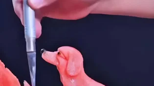 זה התחיל כאבטיח רגיל - ואז הוא הפך ליצירת אמנות שלא תיאמן