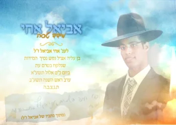 נוגע ללב: מידד טסה בשיר חדש לזכר אחיו - "אביאל אחי"