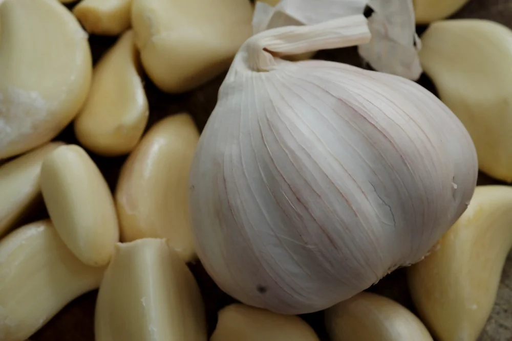 הסוד שמתחבא בשן שום - מה שסבתא ידעה ואנחנו שכחנו