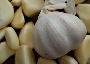 הסוד שמתחבא בשן שום - מה שסבתא ידעה ואנחנו שכחנו הסוד שמתחבא בשן שום - מה שסבתא ידעה ואנחנו שכחנו