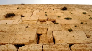 "כל רודפיה הישוגה": התרופה שלנו מונחת דווקא בימים הללו