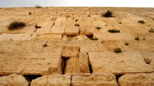 "כל רודפיה הישוגה": התרופה שלנו מונחת דווקא בימים הללו