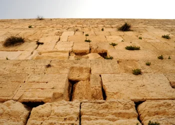 "כל רודפיה הישוגה": התרופה שלנו מונחת דווקא בימים הללו