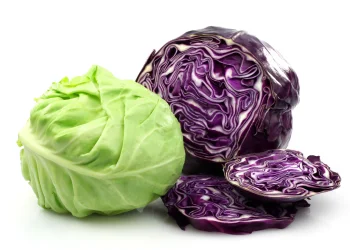 הקרב על הבריאות: כרוב ירוק מול סגול - מי באמת עדיף?