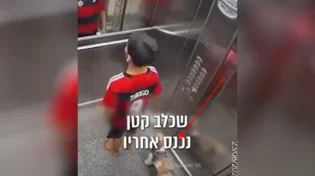 שניות לפני האסון במעלית: הילד שהיה עד למקרה וגילה כוחות עילאיים
