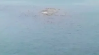 סימן מדאיג בכנרת: האי ששקע חזר לצוץ - והצילומים אומרים הכול