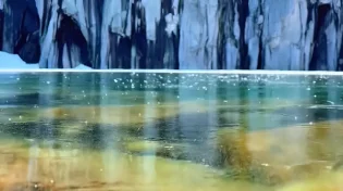 לא רק נוף: הסרטון הוויראלי שמזכיר - כל תמונה בטבע היא שיעור באמונה