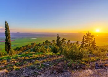 החום שוב מכה: שרב כבד באופק &ndash; עומסי חום קיצוניים צפויים בסוף השבוע