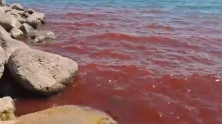 מכת דם בכנרת? מים בצבע אדום הופיעו באגם הקטן