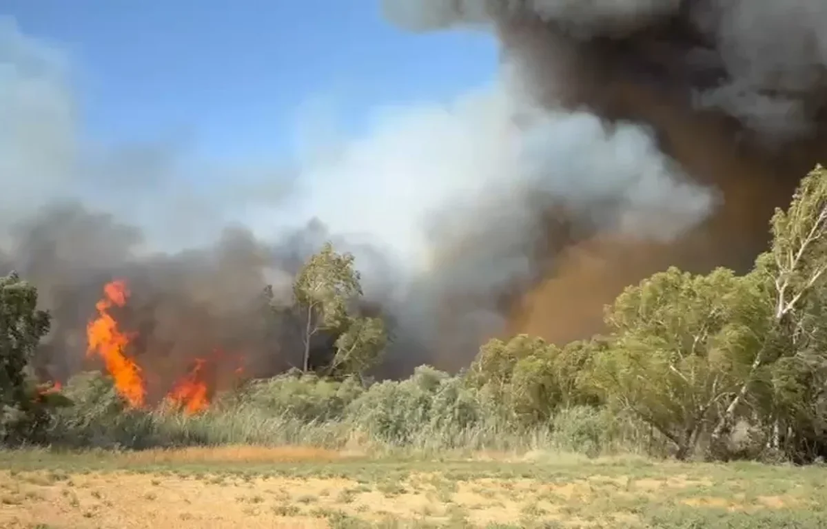 בית שמש: שריפה גדולה פרצה סמוך לאזור התעשייה